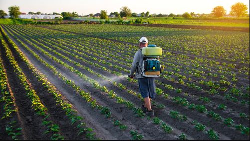تلاش جمعی کشورها برای کاهش اثرات سمی آفت کش های کشاورزی